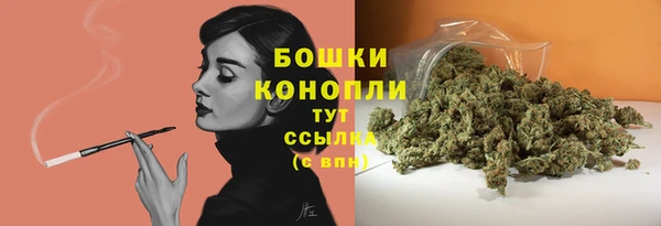 PSILOCYBIN Алексеевка