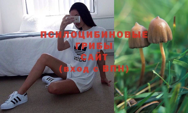 героин Аркадак