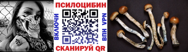 Галлюциногенные грибы Psilocybe  OMG ссылка  Александровск-Сахалинский 